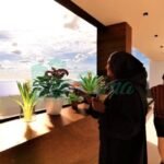 Résidence Magic bay by ALBOS